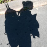 schatten-rucksack